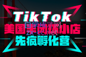 李社长·TikTok美国半闭环小店先疯孵化营（更新）