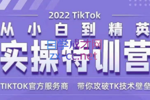 Seven漆·2022Tiktok从小白到精英实操特训营