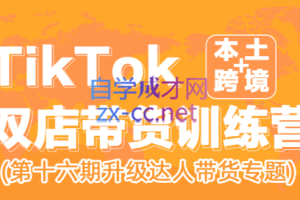 李社长·TikTok双店带货训练营（第十六期）