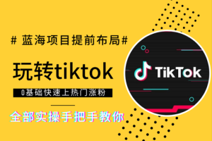 八方凡骐·tiktok系统课，实操手把手教你，价值2999元