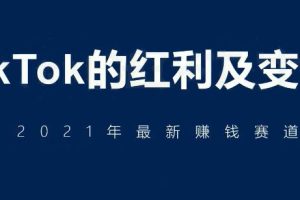 TikTok的红利及变现，2021年最新赚钱赛道