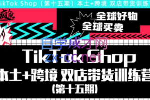 疯人院·TikTok Shop本土+跨境，双店带货训练营（第十五期）