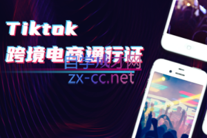 亿启出航·Tiktok跨境电商通行证2.0，价值980元