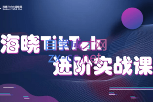 海晓TikTok进阶实战课，价值3999元