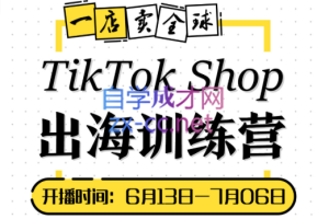 短视频疯人院·TikTok Shop出海训练营【7月新】，价值3999元