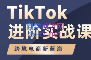 大山老师·TikTok进阶实战课