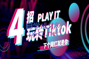 Tiktok账号系统打造，价值1980元