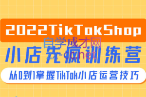 疯人院·TikTok Shop小店先疯训练营，价值4999元