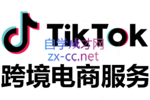 布董·TikTok全案短视频+独立站