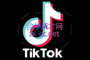 蓝创·Tiktok美区本土全流程系统性训练