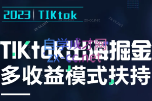 2023风口项目TIKtok出海掘金计划短视频直播带货跨境电商