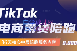 钧哥·Tik Tok线上课程