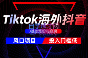 鑫老板·Tiktok海外抖音全程陪跑