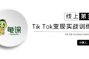 龟课·Tik Tok变现实战训练营线上第1-4期