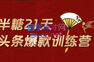 半糖头条爆文训练营202202期，价值1299元