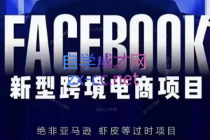 跨境侦探·FB跨境私域，新型跨境电商项目