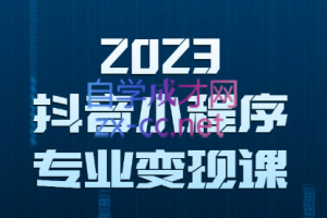 云老师·2023抖音小程序专业变现课，价值3980元