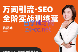 许茹冰·万词引流-SEO全阶实战训练营，价值2980元