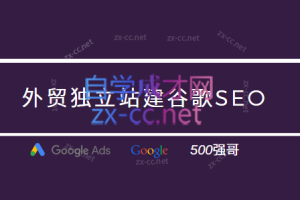 500强哥·外贸独立站谷歌SEO保姆级教程