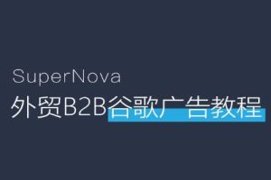 慢慢来·外贸B2B独立站谷歌广告实操教程，价值2780元