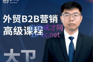 带你投·外贸B2B营销高级课程：建站+SEO+PPC广告，价值6999元