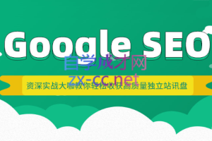 拓谷思课堂·Google SEO·综合课，价值3799元