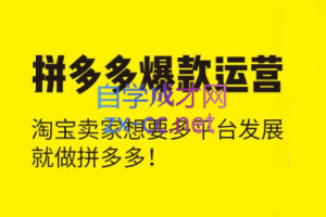 猫课·拼多多爆款运营课程【更新2023年】，价值3980元