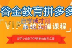 谷金多多学堂·拼多多0-100实战训练营（更新23年9月）