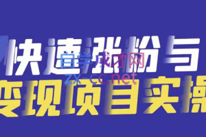 彬哥·游戏发行人项目，价值399元