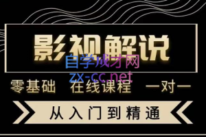 野草君·影视解说陪跑训练营，从新手进阶到成熟自媒体达人，价值699元