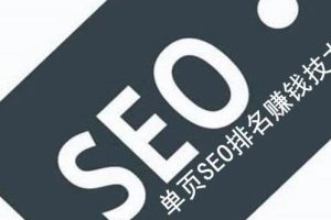 网站单页面SEO排名技术实战