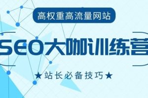 新纪元seovip课程：专注内页排名和流量提升特训营