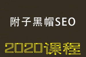 2020附子黑帽SEO视频教程 快速收录霸屏