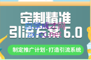 制定精准引流方案专栏6.0，价值1380元