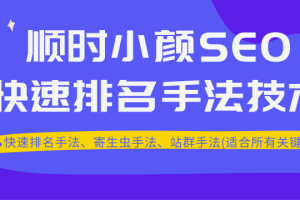 顺时学院:小颜哥SEO教程2020版