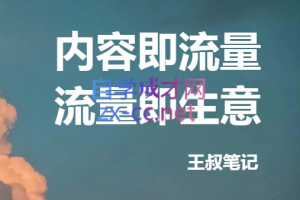 王叔·21天文案引流训练营，价值299元