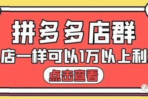 大凯电商·拼多多也可以单店产出1万5以上利润