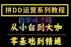 2022全套拼多多核心实操课程，价值500元