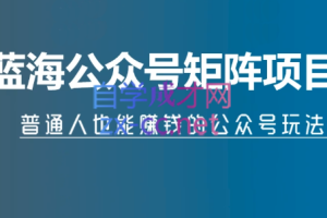 倪叶明·蓝海公众号矩阵项目训练营，价值1800元