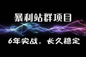 暴疯团队站群SEO赚钱项目 公众号赚钱项目课