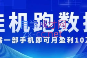 挂机跑数据，只需一部手机即可月盈利10万+，价值3988元