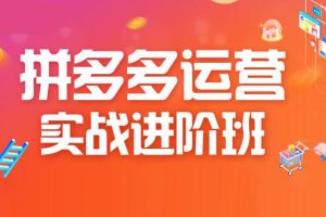 老关电商·2021拼多多vip教程