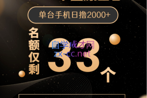 2022年全新口子，单台手机日撸2000+，价值6988元