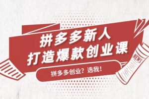 拼多多新人打造爆款创业课15期，价值299元(无水印)