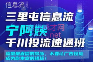 三里屯信息流宁阿姨千川投流速通班【第二期】，价值2380元