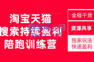 2023未见【無山】淘宝天猫搜索持续盈利陪跑训练营