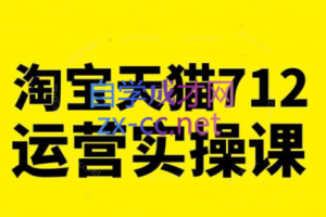 蒋晖·淘宝天猫712运营实操课（更新2023）