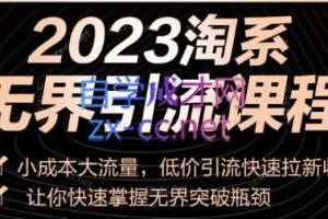 隆哥滔哥·2023淘系无界引流实操课程