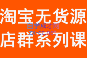 木易·淘宝无货源电商课程