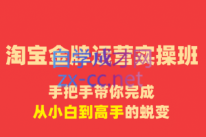 清杨老师·淘宝金牌运营实操班，价值8980元